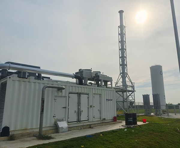 Wuxi biogas power generation project